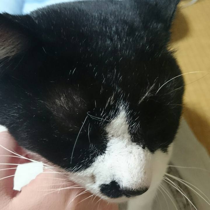 6b8861a8 83f9 49a3 9138 57006da3efd8