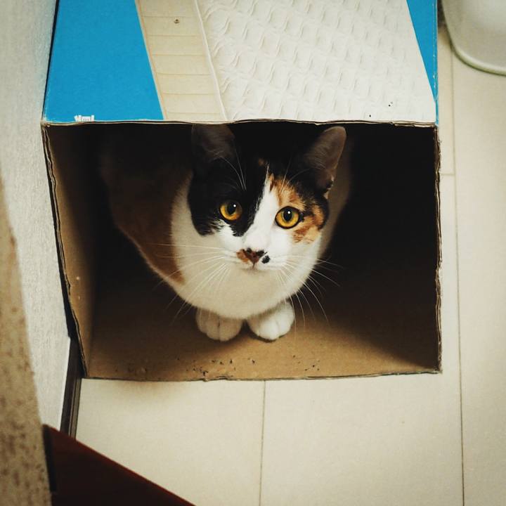 6b886a60 a4ee 4eb5 9fc1 c5058ed8abbb