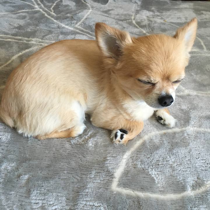 6b88a598 bf00 4d70 b58c 0d48adb8d334