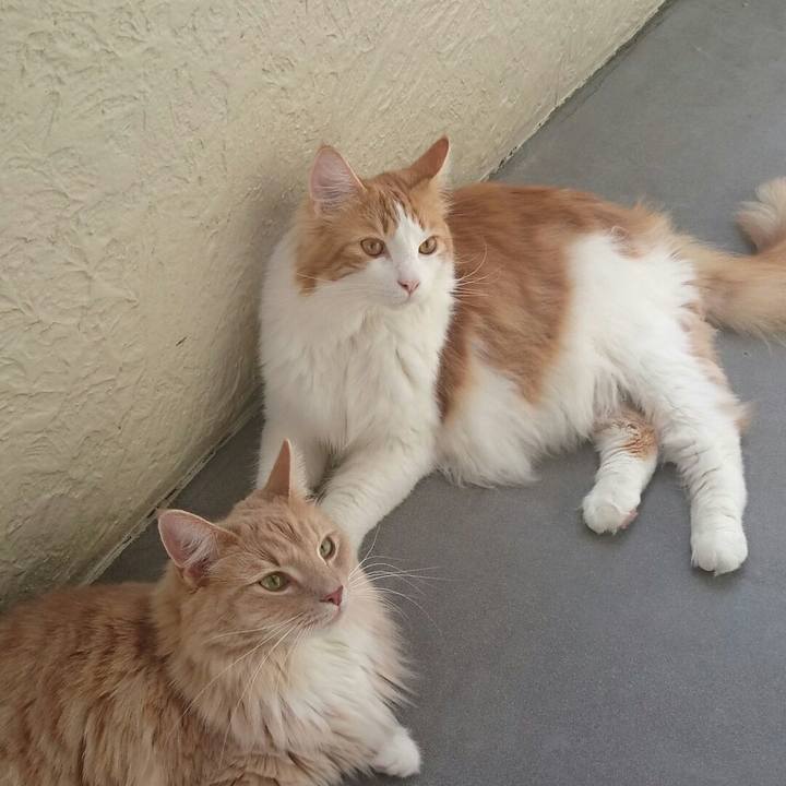 6b89164e fce9 4abd adc0 10099e1bfb14