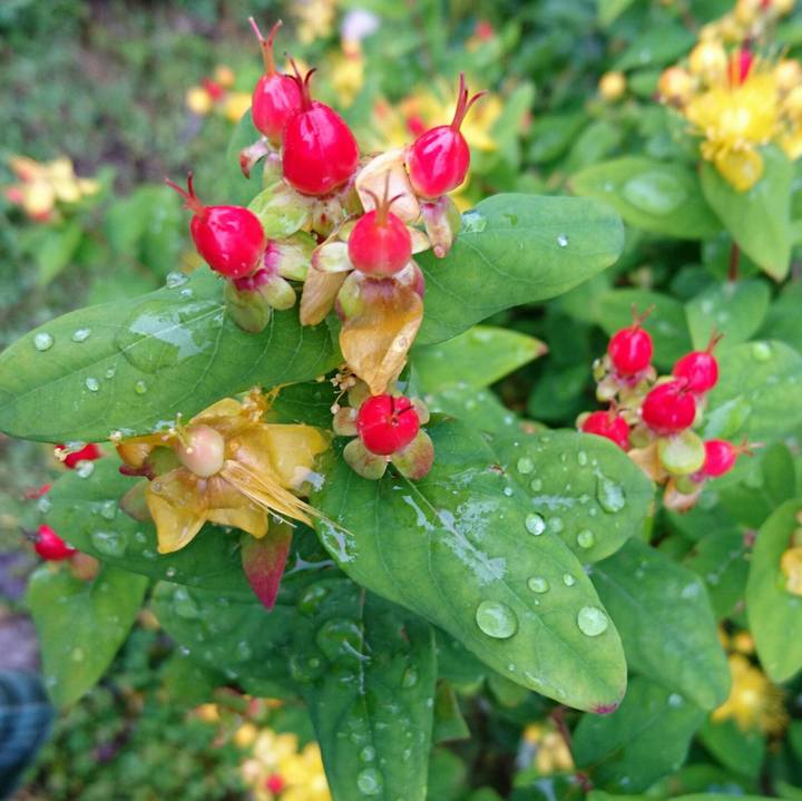 6b8945a5 f502 447f b10b d9683592c0f4