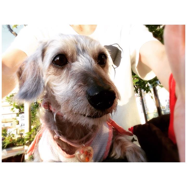 6b899552 6deb 4f3c b274 bfbe3c92c1c6