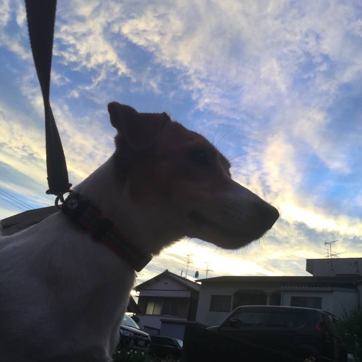 6b8a79c1 0ce9 459c 83d9 7f0d66a3f0b8