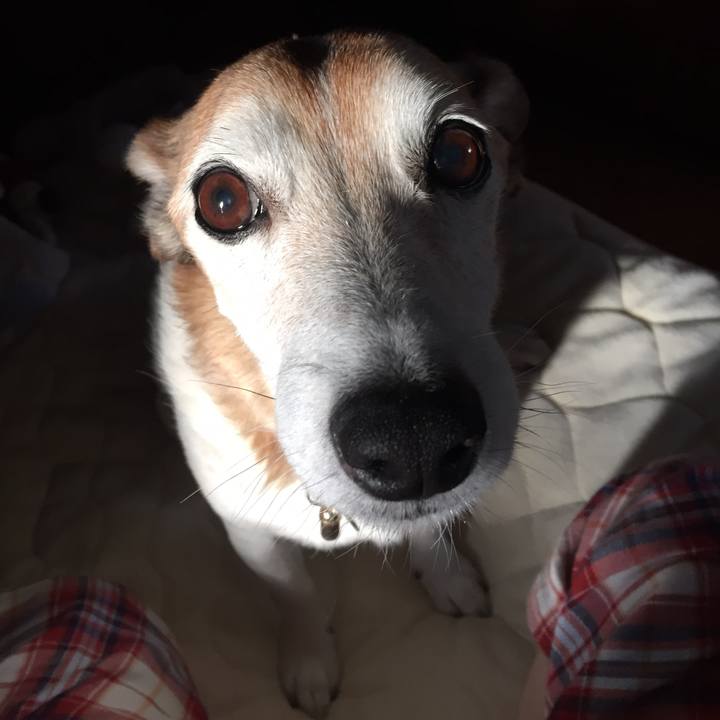 6b8a95ed 3a1e 4582 b8ba f4ecc85d03bc