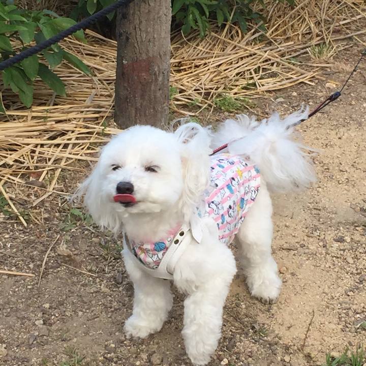 6b8b5890 ece9 4123 bb3d 2c5fae7960e2