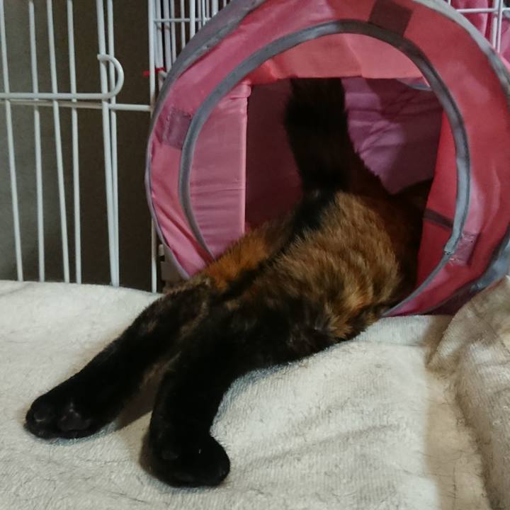 6b8b9868 5f87 412f 9aea ed0bf1fb5c43