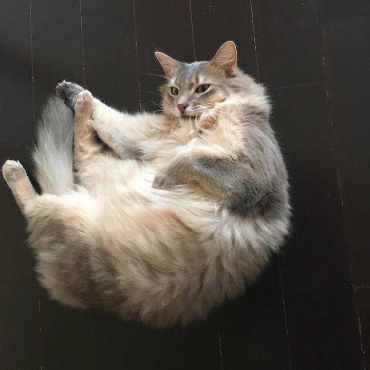 6b8c1e97 bafd 4db6 9581 06a99e967e7b