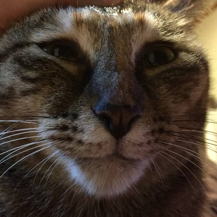 6b8d5286 b7d0 465b bf41 9256cee3bf1d