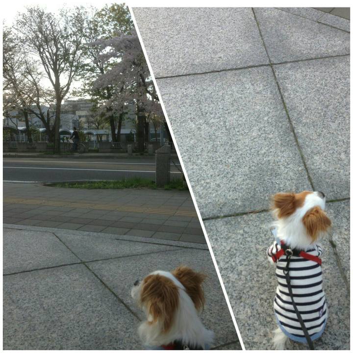 6b8d96b6 3305 4687 b373 54e8087c56eb