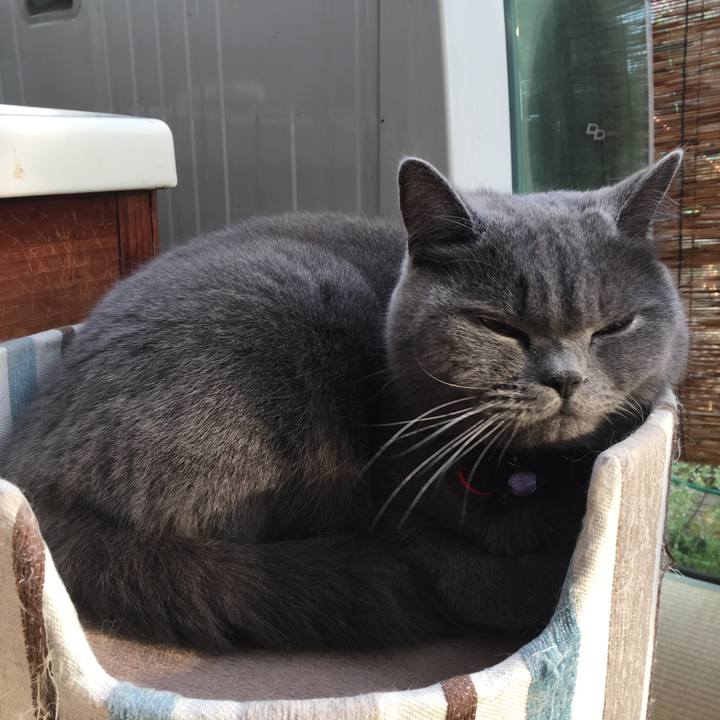 6b8de292 aab8 428a bf64 3b0b806ef95e