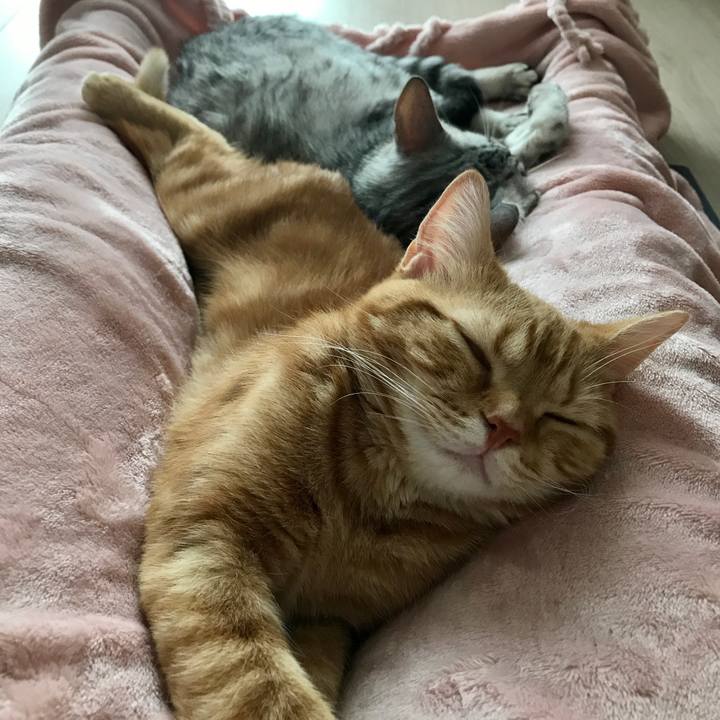 6b8ed9f4 2144 4733 8382 d8c48ced79e4