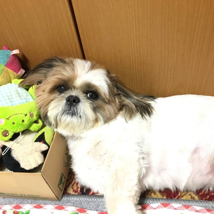 6b8f058c 3012 4352 a627 359d6b30fe7d