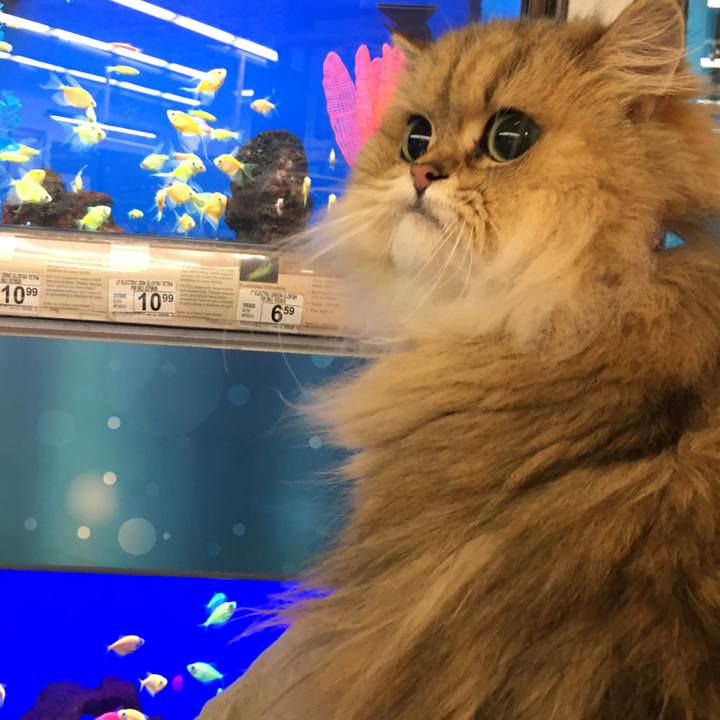 6b8f099a 119b 46af 9cd7 8c40076c5a18