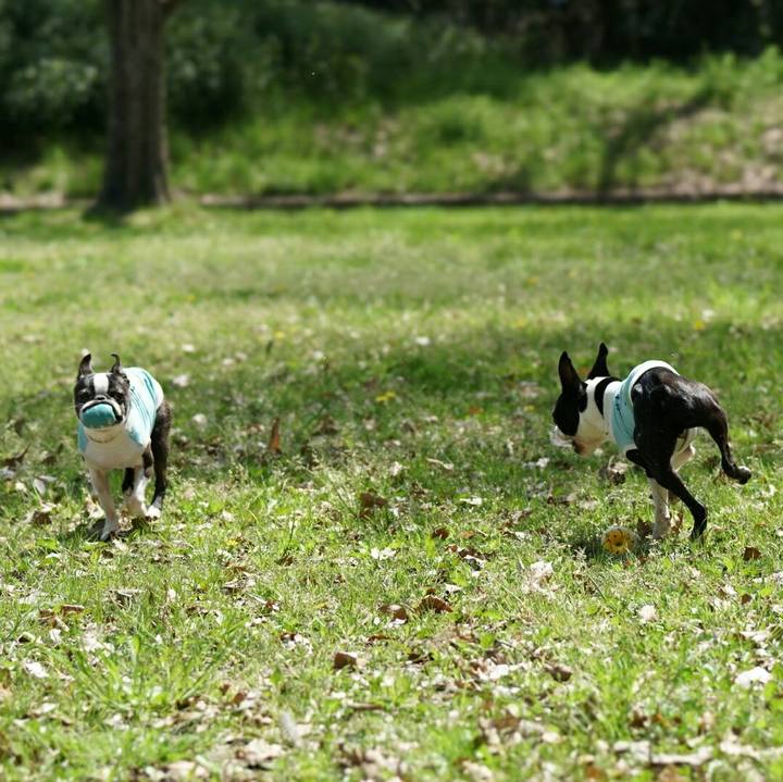 6b8f1886 382d 4fc2 ab65 88f5015e3f13