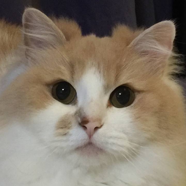 6b90ade5 4c54 4048 aeea 0b78bf996d56