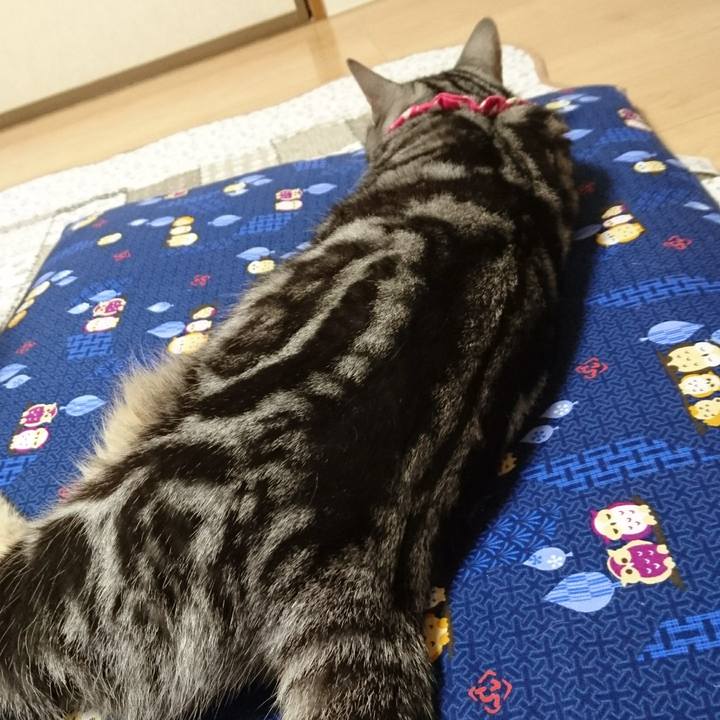 6b92caf1 f711 4750 98e0 cc38e271c9ec