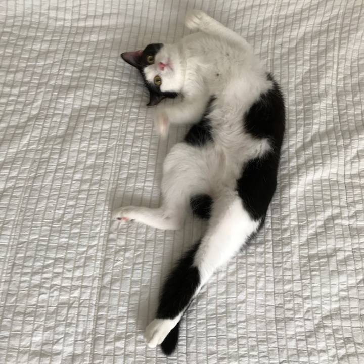 6b92df41 0041 4696 91aa 56d44cb51b35