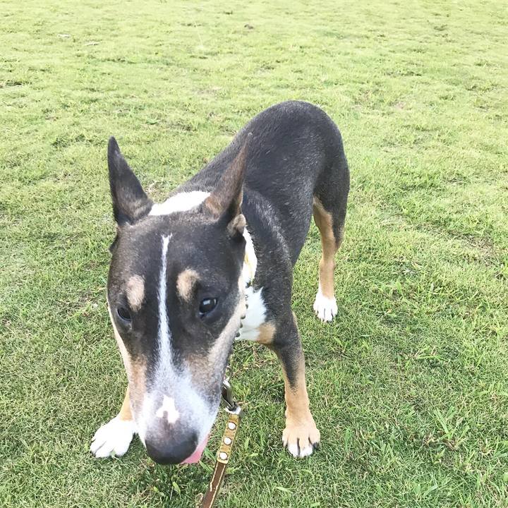 6b9392f6 ff26 428a 985e a573e7107d7e