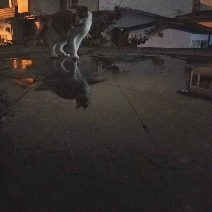 6b939a1c 573f 4ae7 80a6 a1fb3bbde1a6