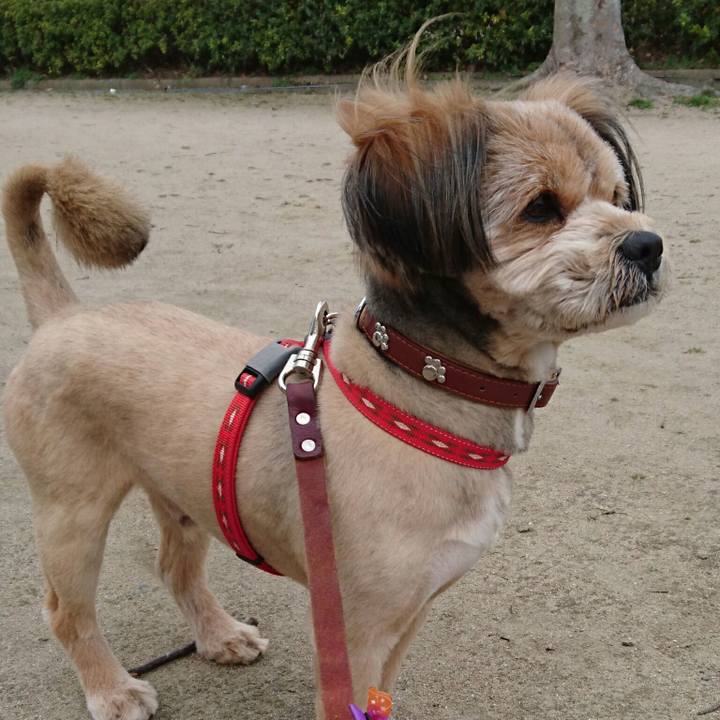 6b939aab 7a5d 4046 b9ee 54044238b58e