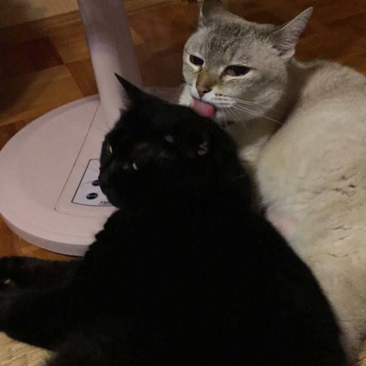 6b93dd6f 3383 45f3 8baf 2ae26181afd6