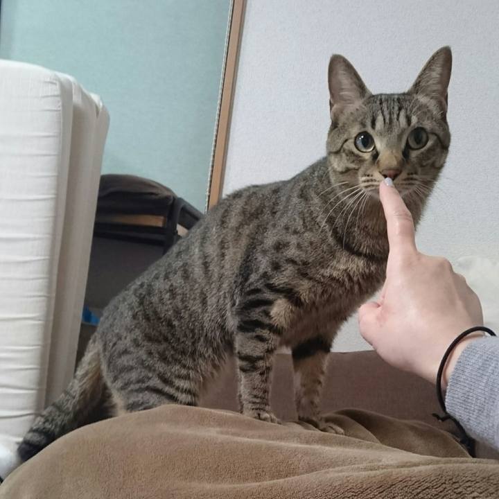 6b93e68f b3ae 4611 873f 67afcb9fba13