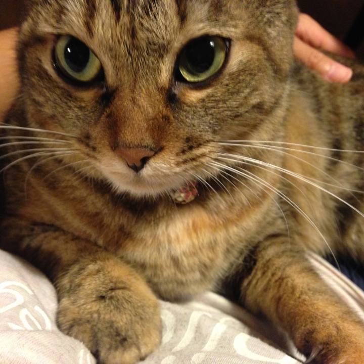 6b942971 aaf8 4aa4 86d6 f491140719c3