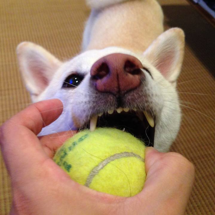 6b957c5c c665 4168 ad58 7bc6474f985b