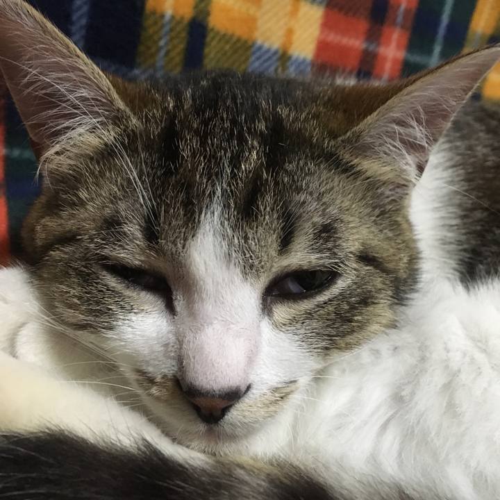 6b95a56b 65ce 4b57 87cd 9ac405c3983f