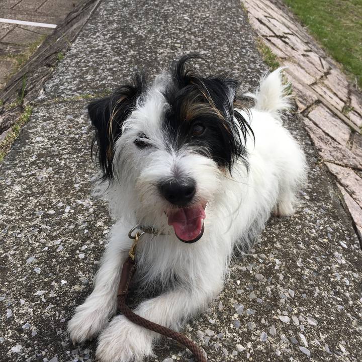 6b960e20 323a 43d0 ba74 1544df7e30fe