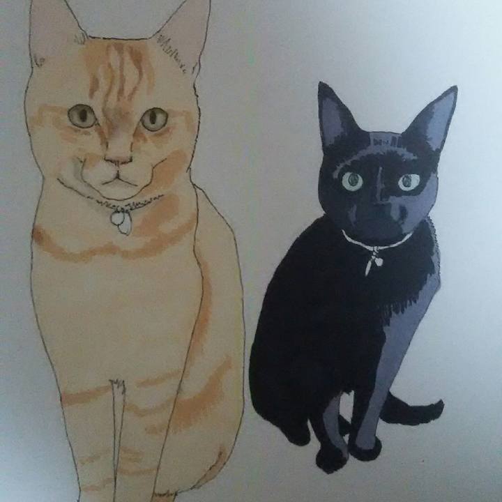 6b9668b2 a9d2 4bc0 872c cb8bc58d18cb