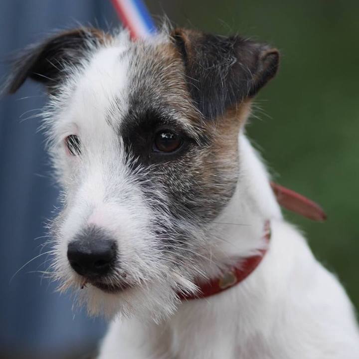 6b97562e b2c9 43ad ad8c 52287c8c685f