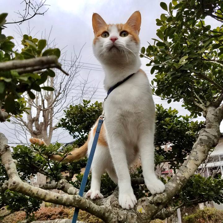 6b976c20 b708 497e 94cd fa0475a986fa