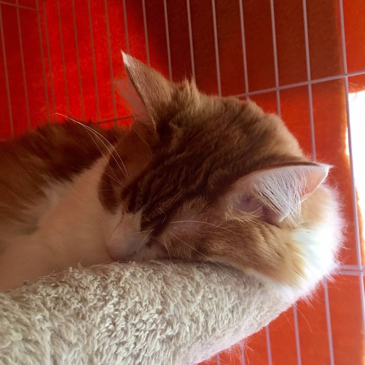 6b977bc0 df15 4ee8 889b cea84b6e13fe