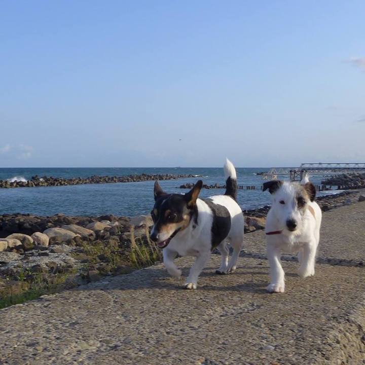 6b97fa4b a243 4671 a131 66c0bff7762f