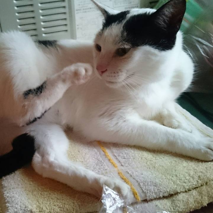 6b97ff28 4f19 4c55 80f4 fe907b3d3ddb