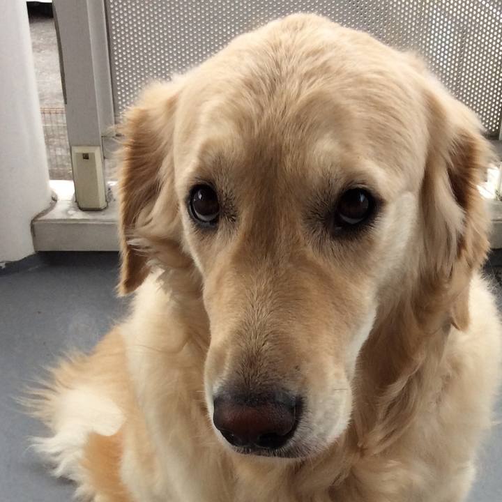 6b98fa94 15b7 44fb 80e3 b10a259d3046