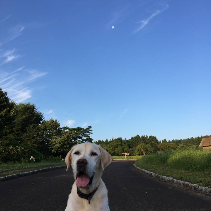 6b99597e cd49 4a1f b9d2 d5011f4f1145