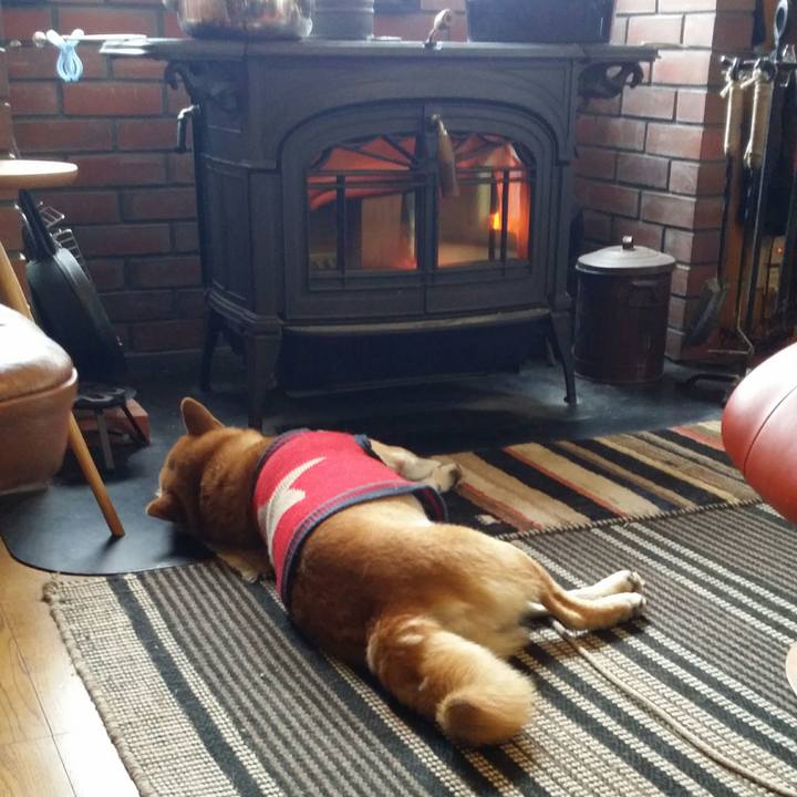 6b997157 9a83 43b8 a34f a289ecbe38b2