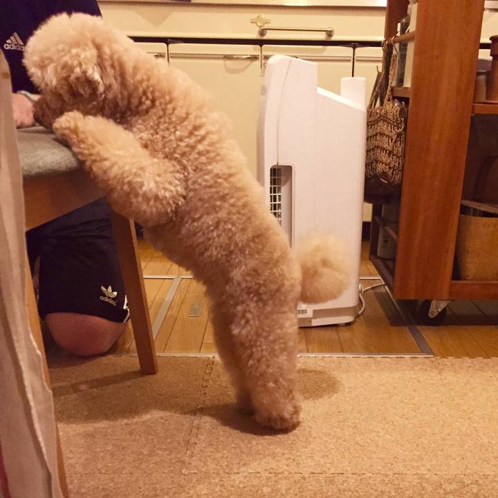 6b99fbce 1a87 4da9 8214 4dcbbeff7499