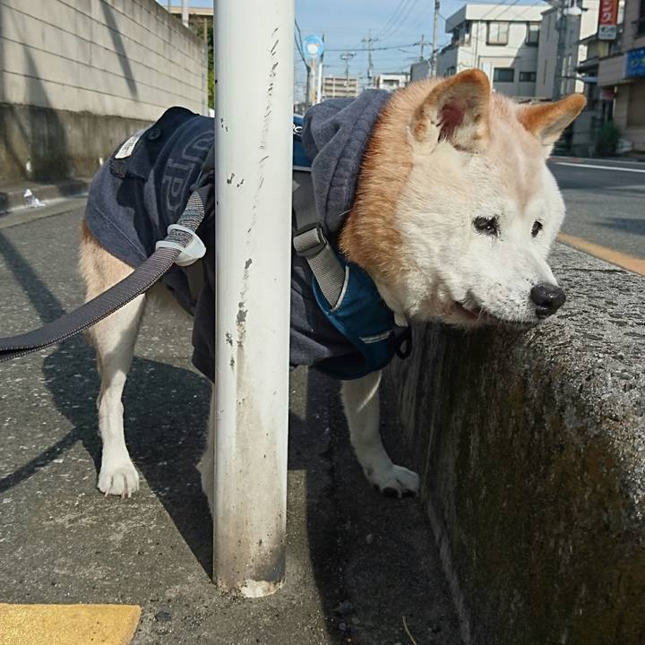 6b9a27f6 a993 4c10 bff1 ac442414e7fd