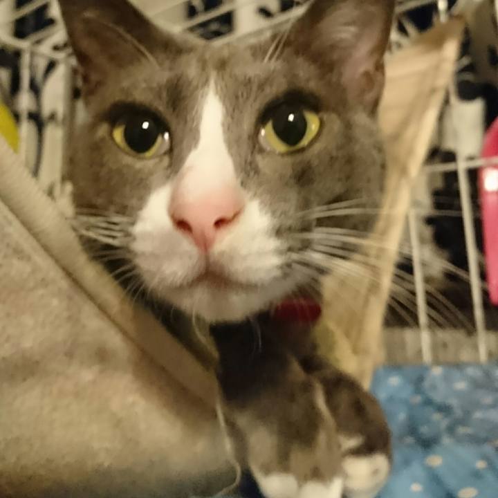 6b9a3c8a 54cf 4d69 ac56 5b3e9a6c710c