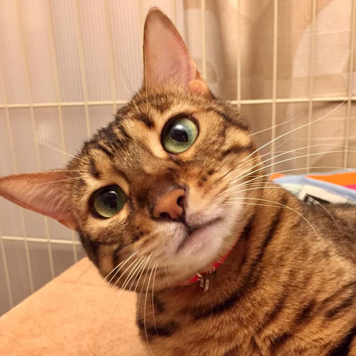 6b9ab0cd 7d13 456d 8900 4ca63ea8fb84