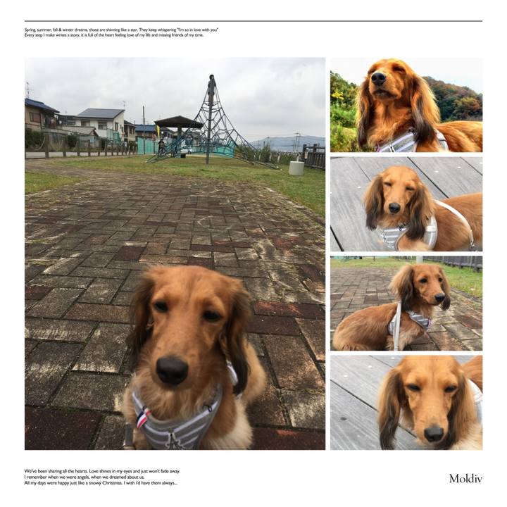 6b9ab3f3 424b 4729 919a 5202e6a84c85