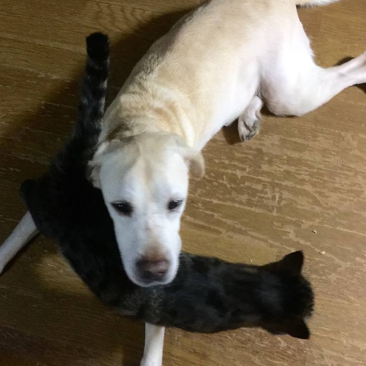 6b9adf7f da95 4631 addf 381f994fb1b3