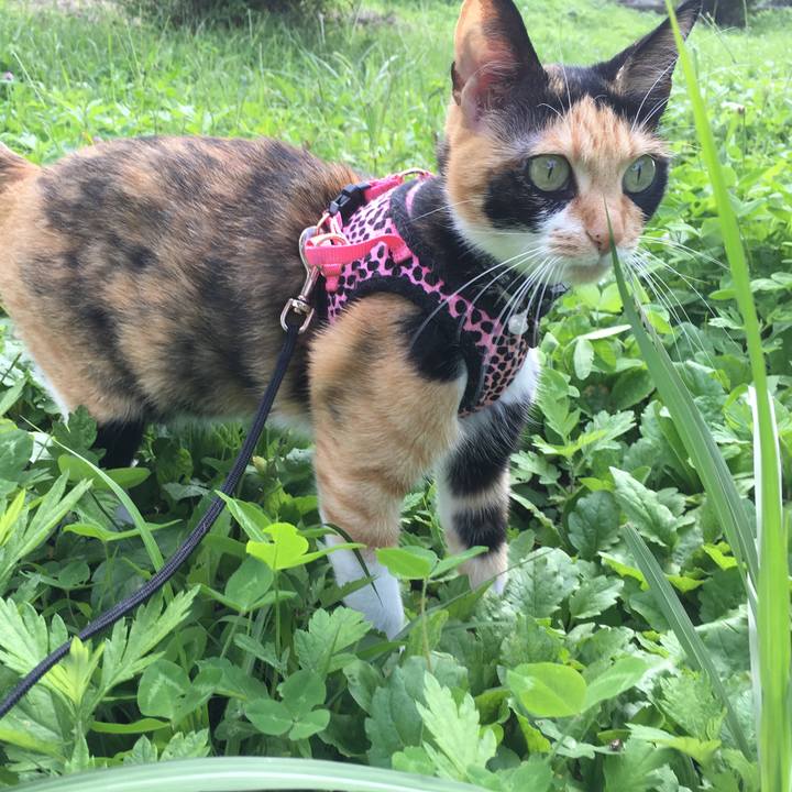 6b9b9a15 bdc2 48b9 863b a5b7a4626922