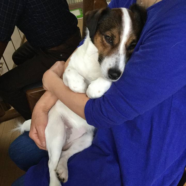 6b9c38e7 f13c 4810 89a1 c37cdff3b3aa