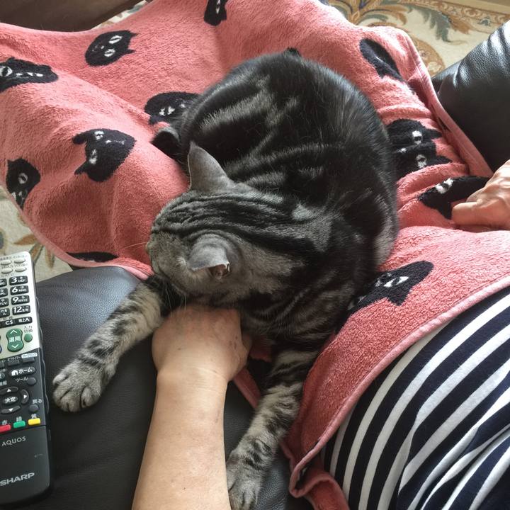 6b9c5652 a16a 4146 a959 d07fbcf8c68c