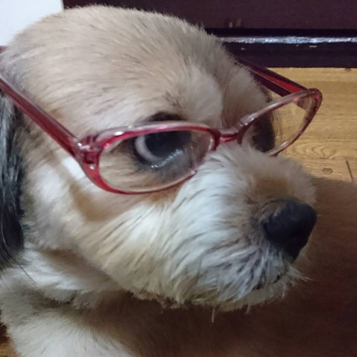 6b9c64ba 1ed6 45ae b2e4 75697a27bd31