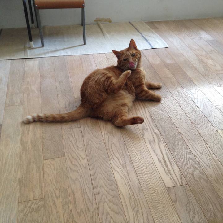 6b9ca88b 2858 4c6d b901 013153729089